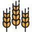 Wheat icon 64x64