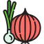 Onion icon 64x64
