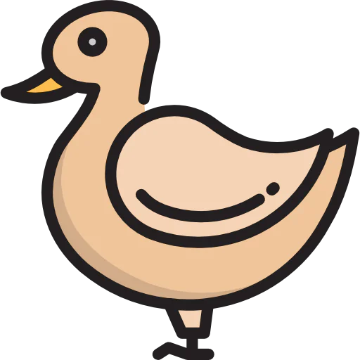 Duck icon