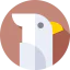 Cockatoo icon 64x64
