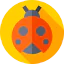 Ladybug 图标 64x64