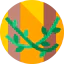 Vines icon 64x64