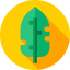 Leaf icon 64x64