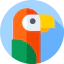 Parrot icon 64x64