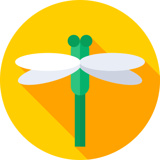 Dragonfly icon