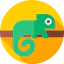 Chameleon icon 64x64