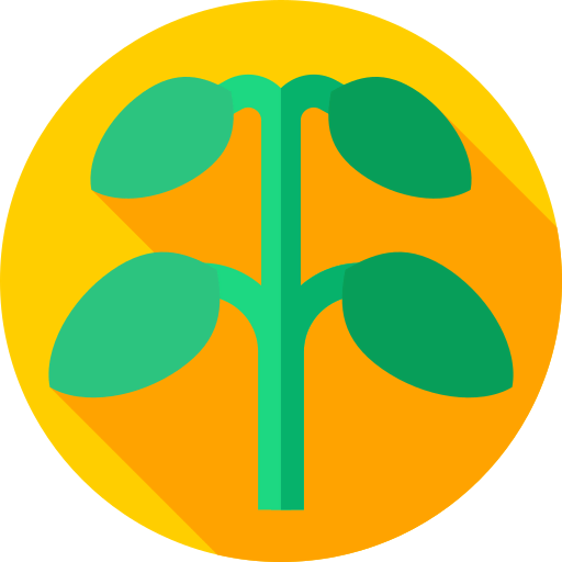 Sprout icon