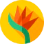Bird of paradise icon 64x64