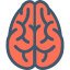 Brain icon 64x64