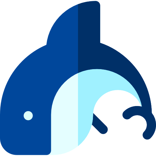 Orca icon