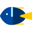 Fish icon 64x64