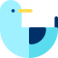 Seagull icon 64x64