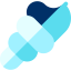 Морская ракушка иконка 64x64