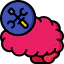 Psychology icon 64x64