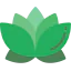 Lotus icon 64x64