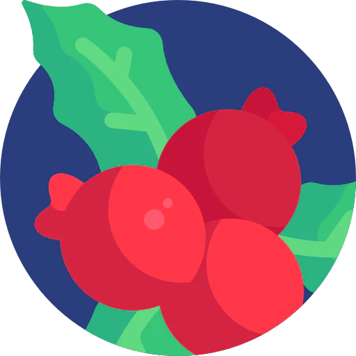 Berries icon
