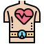 Heart rate 图标 64x64