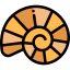 Shell icon 64x64
