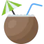Coconut icon 64x64