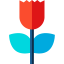 Flower icon 64x64