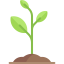 Sprout icon 64x64