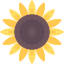 Sunflower アイコン 64x64