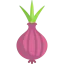 Onion icon 64x64