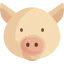 Pig icon 64x64