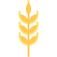 Wheat icon 64x64