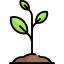 Sprout icon 64x64