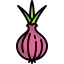 Onion icon 64x64