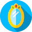 Mirror icon 64x64