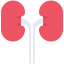 Kidneys Symbol 64x64