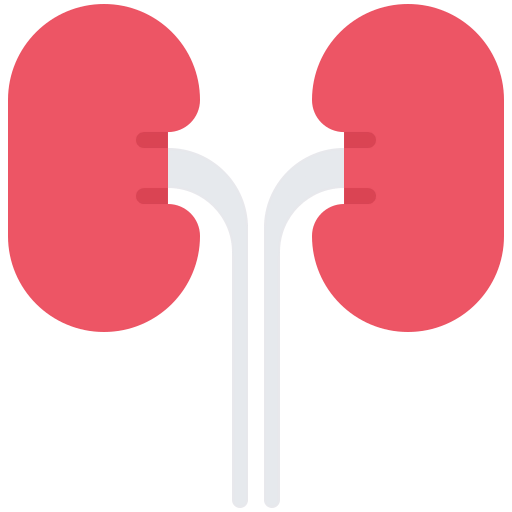 Kidneys icon
