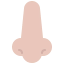 Nose Ikona 64x64