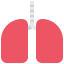 Lungs ícono 64x64