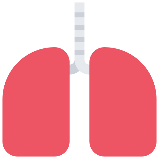 Lungs icon