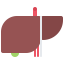 Liver Symbol 64x64