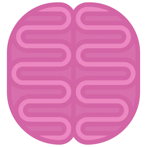 Brain icon