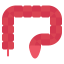 Colon ícono 64x64