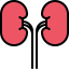 Kidneys Symbol 64x64