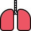 Lungs ícono 64x64