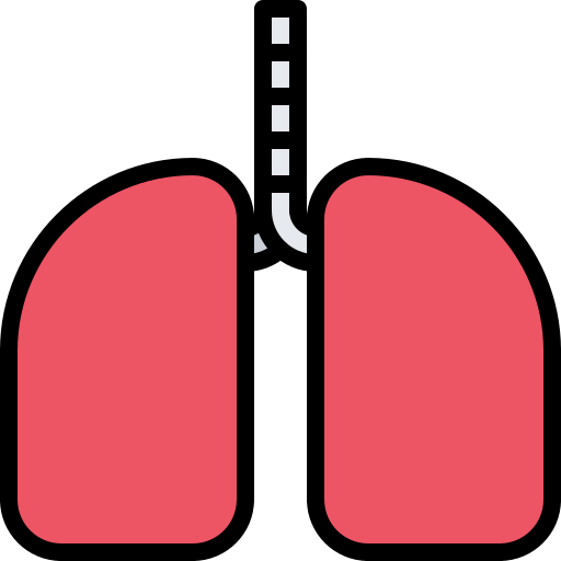 Lungs icon