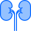 Kidneys Symbol 64x64