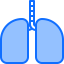 Lungs ícono 64x64
