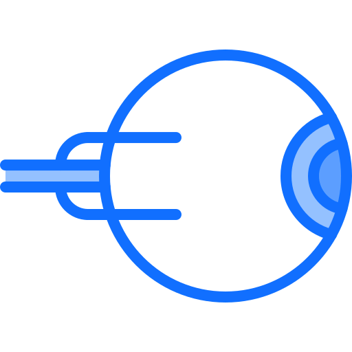 Eye icon