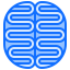 Brain icon 64x64