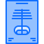Skeleton biểu tượng 64x64