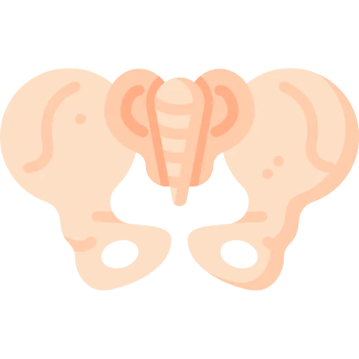 Pelvis icon