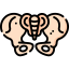 Pelvis icon 64x64